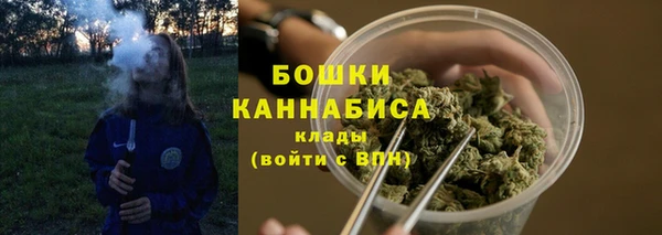 стафф Заволжск
