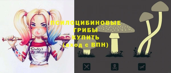 экстази Осташков