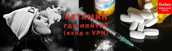 СК Ельня