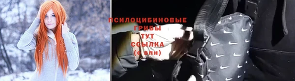 стафф Заволжск