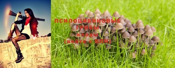 стафф Заволжск