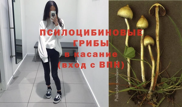 крисы Заводоуковск