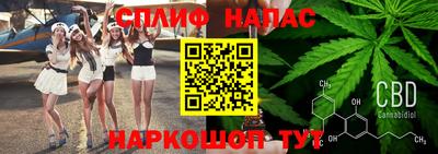 шишки Абинск