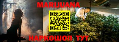 PSILOCYBIN Малгобек