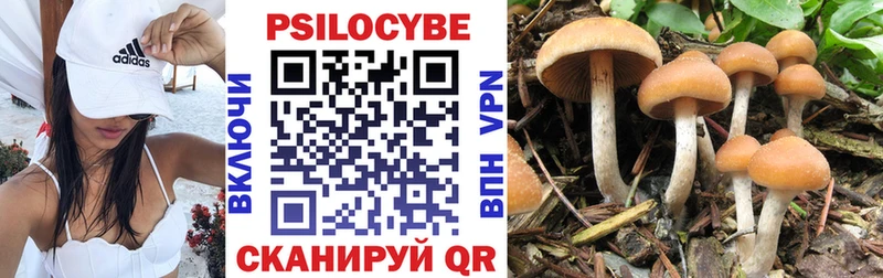 Галлюциногенные грибы мухоморы  где купить   это официальный сайт  Сердобск  blacksprut ONION 