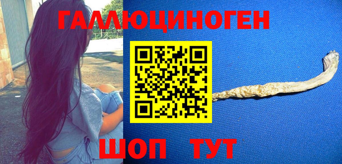 Псилоцибиновые грибы мицелий  где найти наркотики  Сердобск 