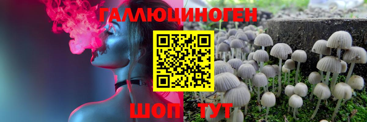 Псилоцибиновые грибы ЛСД Сердобск