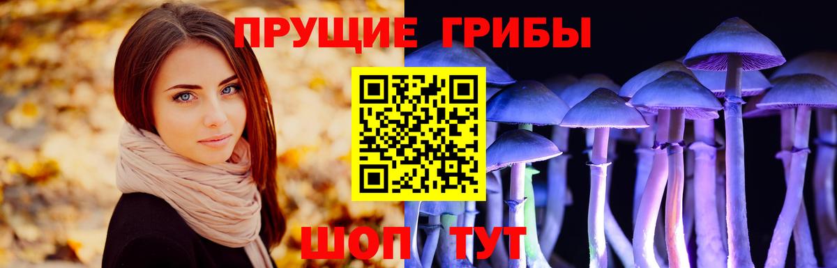 Псилоцибиновые грибы мицелий  Вход с VPN  Сердобск 